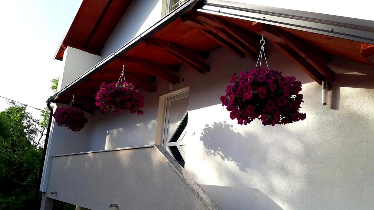 Apartmani Bilic Korenica Exterior photo